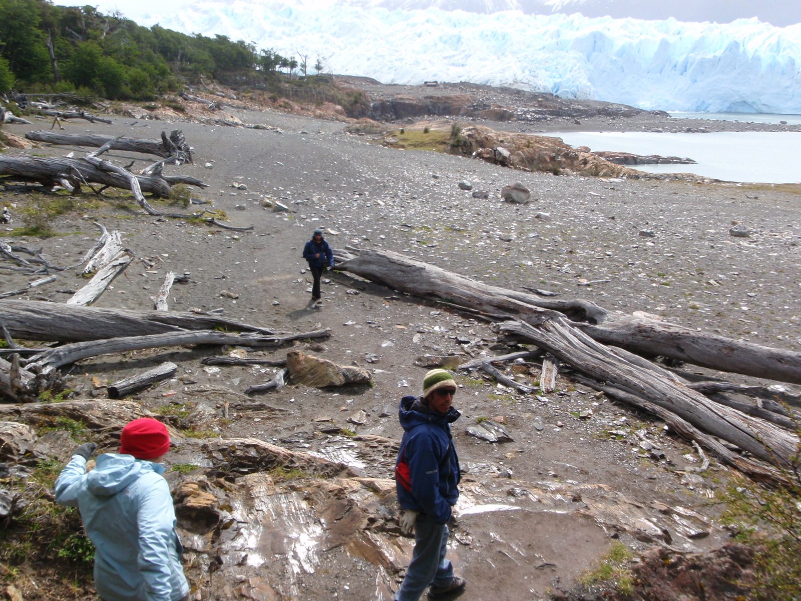 On our hike to the glacier.  Most of this is barren land that was recently covered by ice.