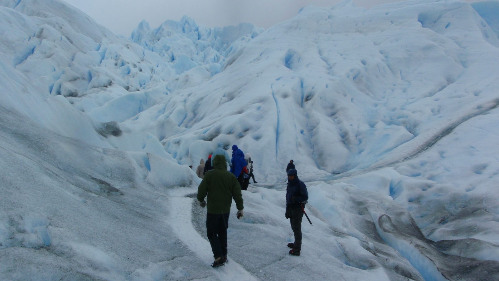 Jay walking around a crevasse.