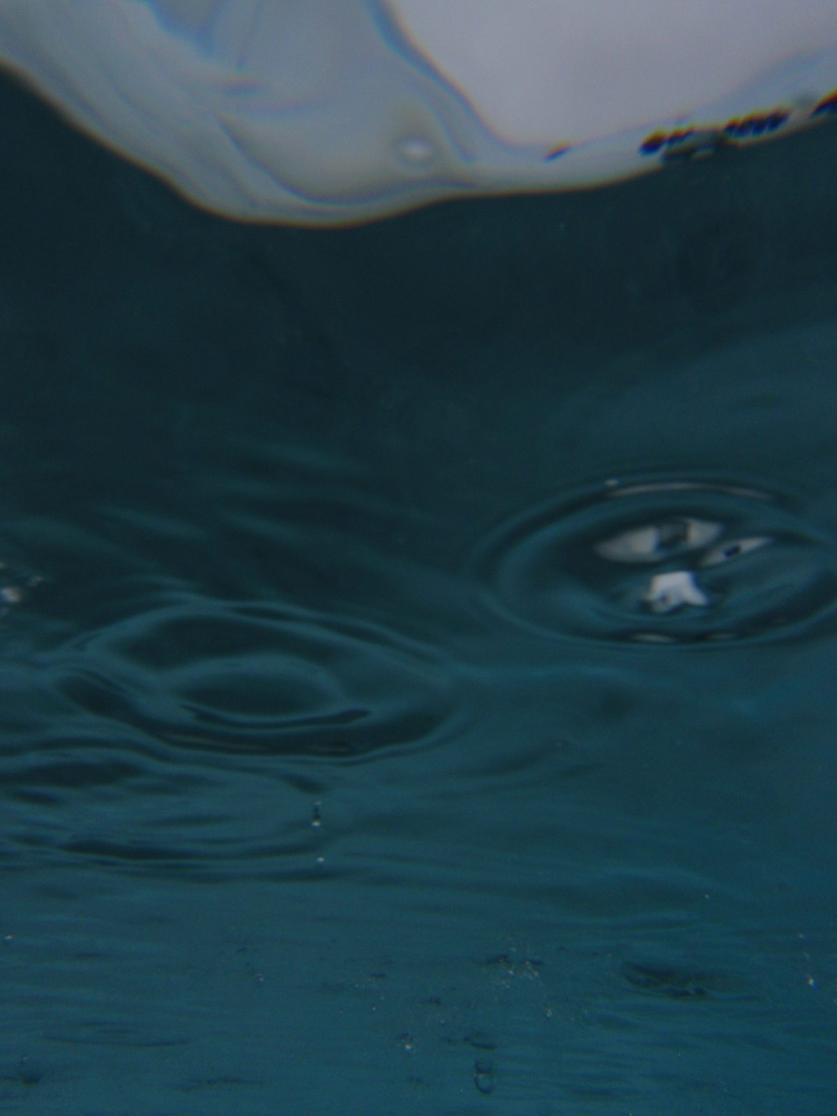 Underwater shot of glacier puddle.