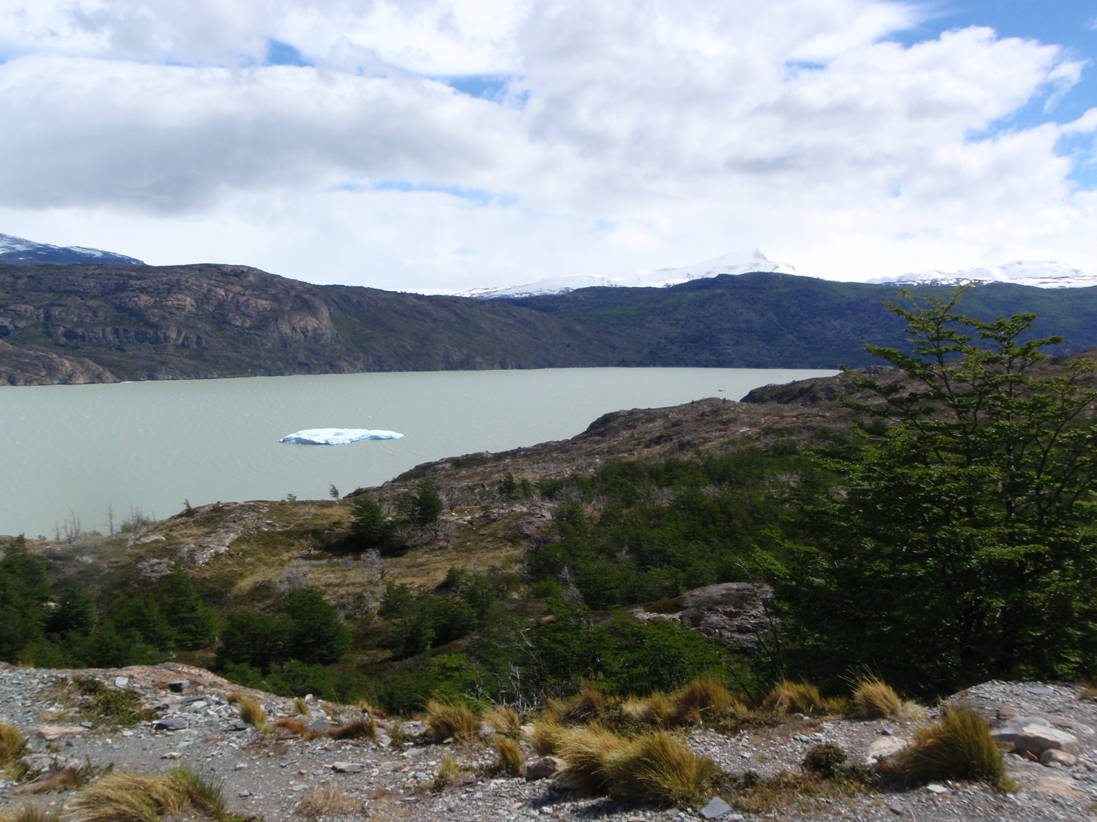 Our first view of Lago Grey with a monstrous iceberg plying the waters. Now I see why the lake...