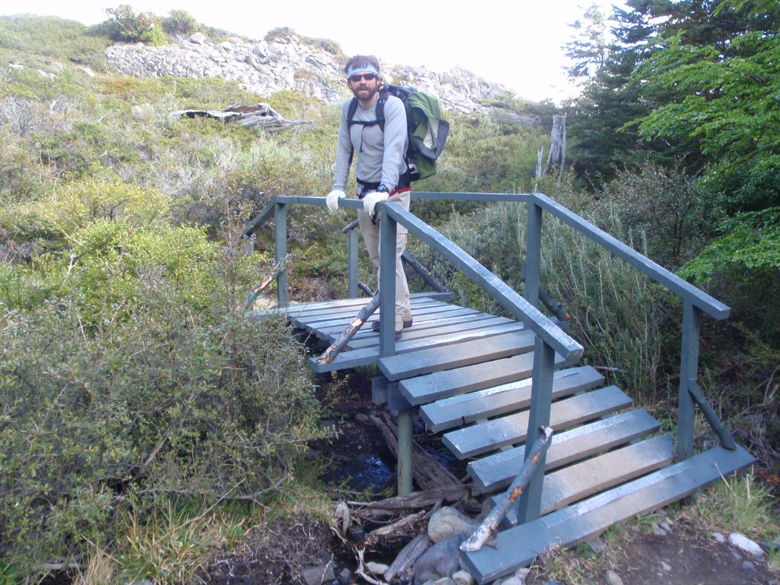 Bridges across Patagonia: picture for Catherine.
