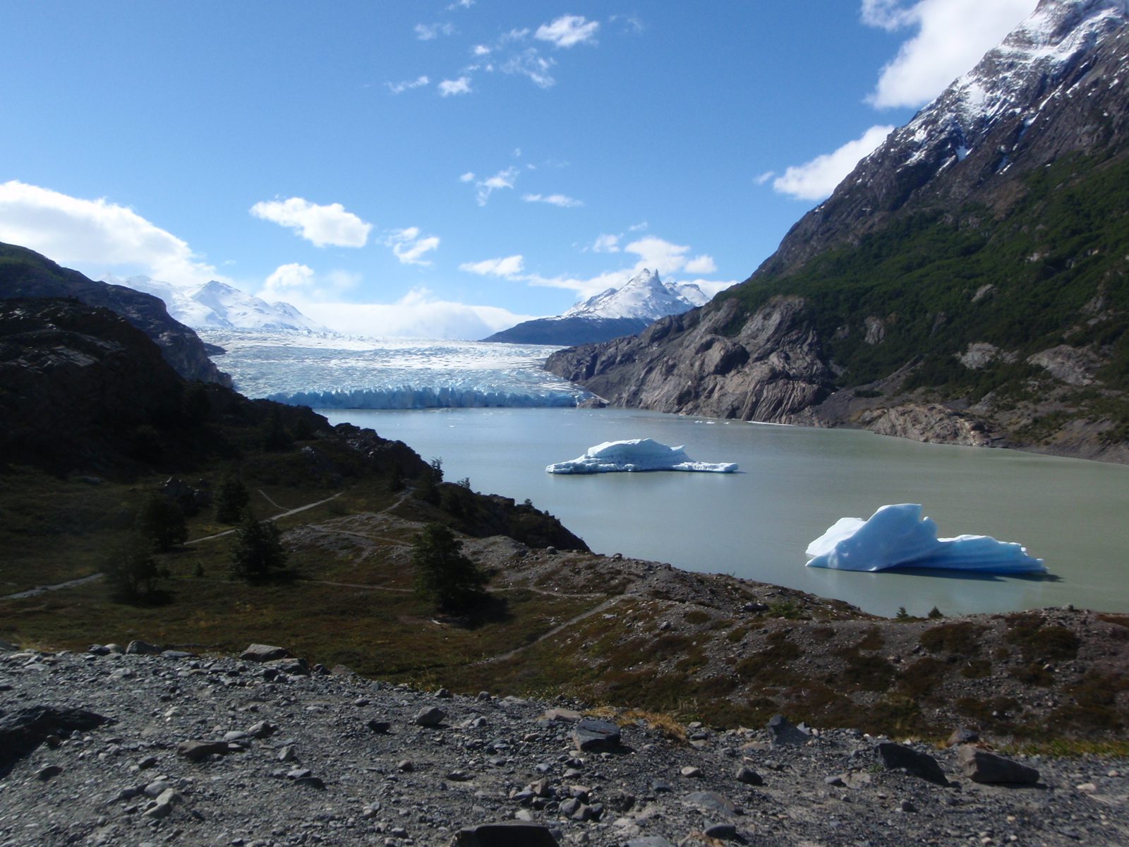 Big icebergs that recently broke off Glaciar Grey.