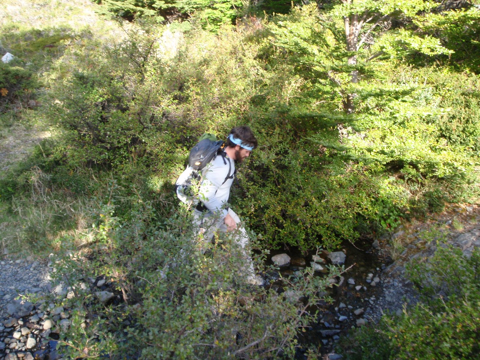 Jay tiptoeing around a stream in the trail.