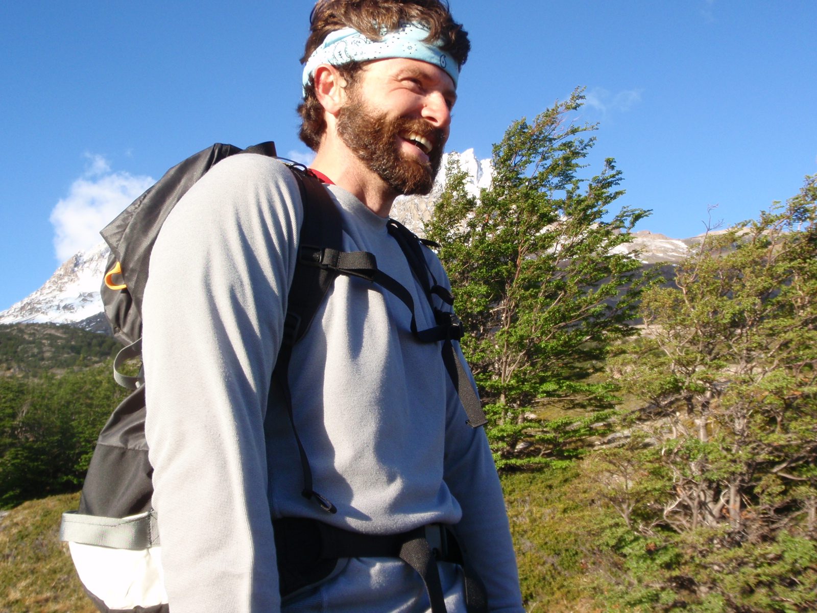 Jay, probably laughing at the wind.
