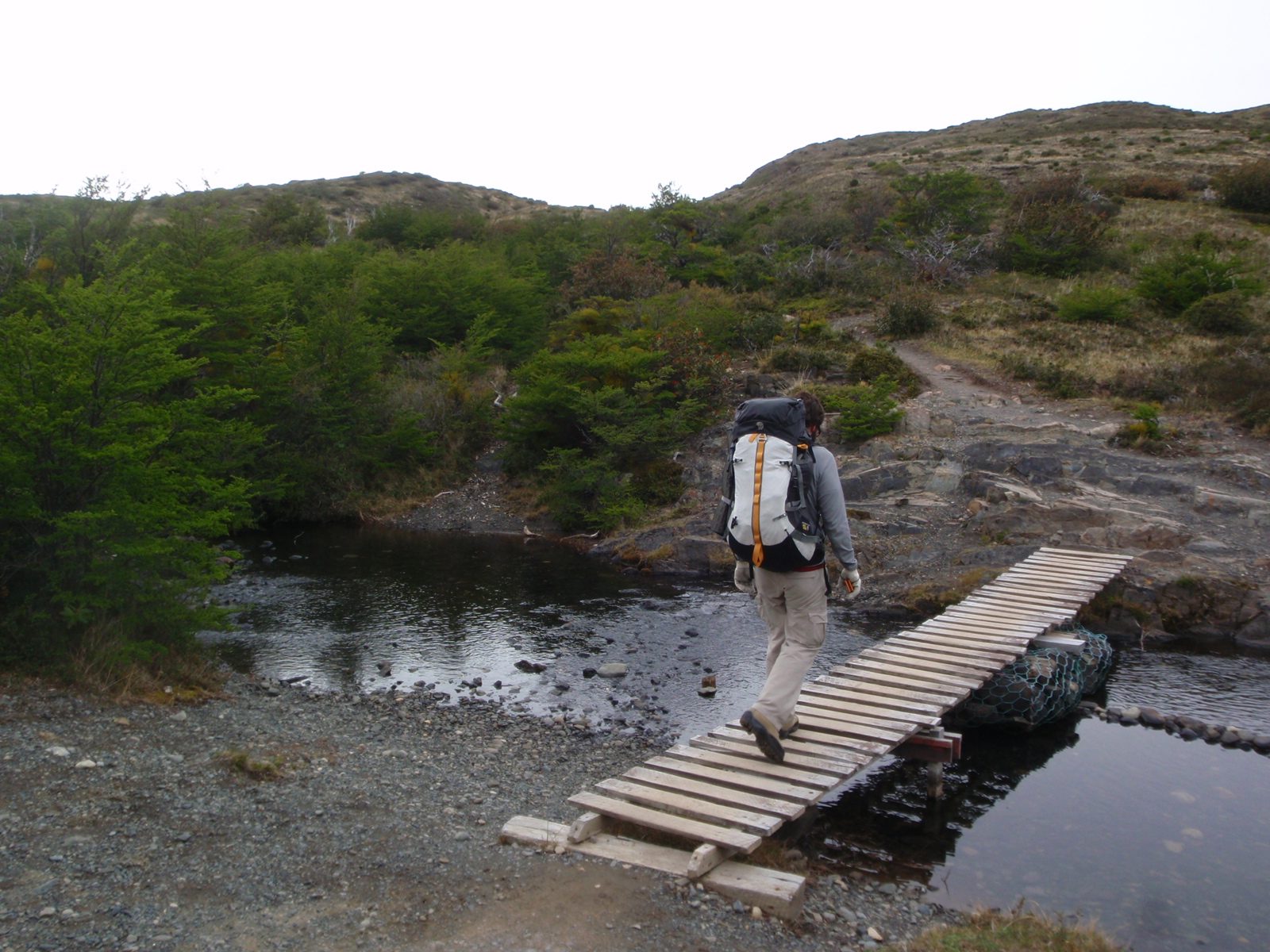 Bridges across Patagonia series for Catherine.