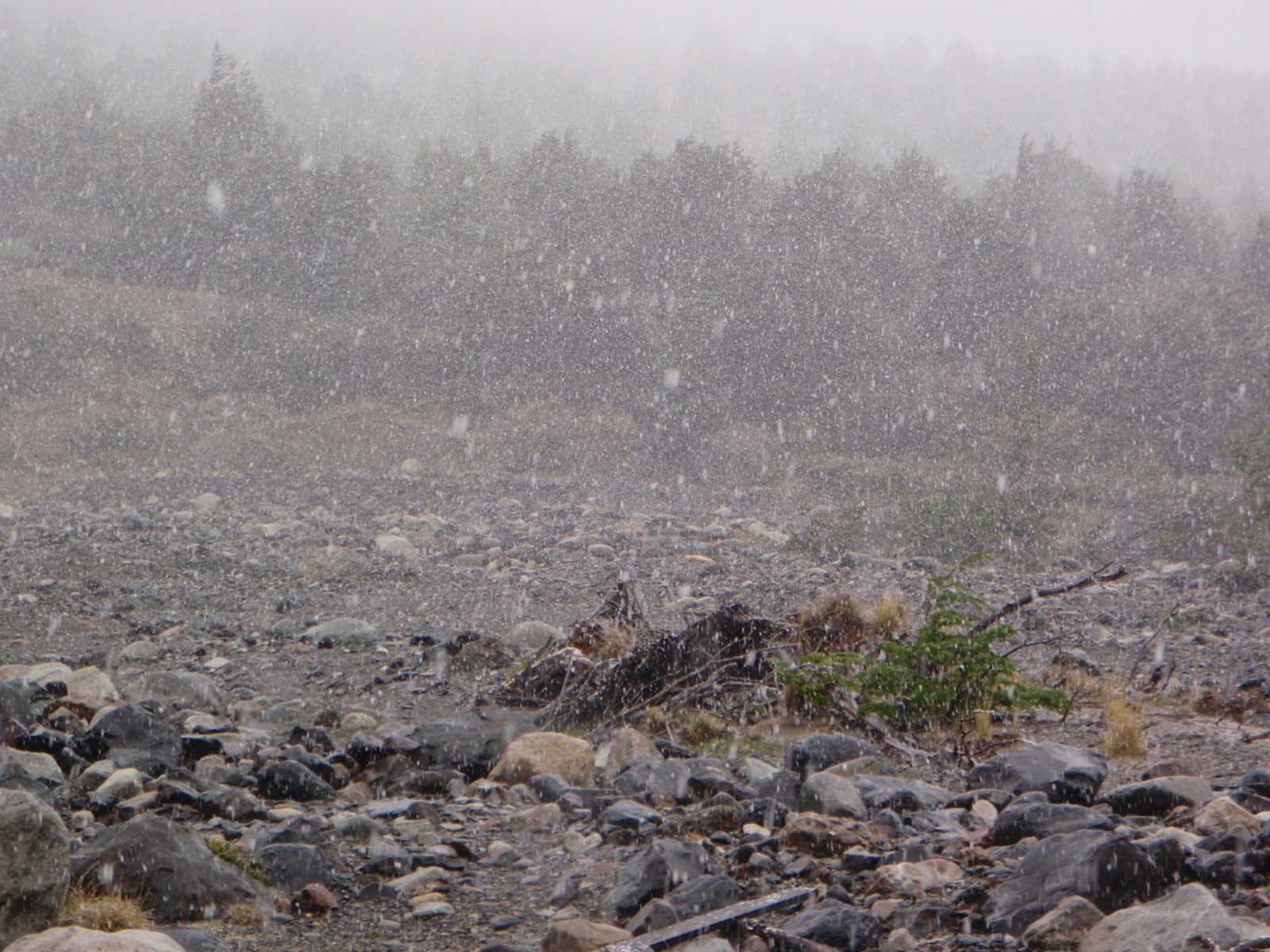 This was taken as we were getting close to our camp. I remember that I was feeling a little cold...
