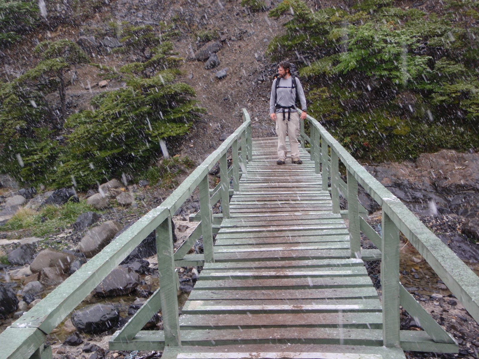 Bridges across Patagonia, for Catherine.