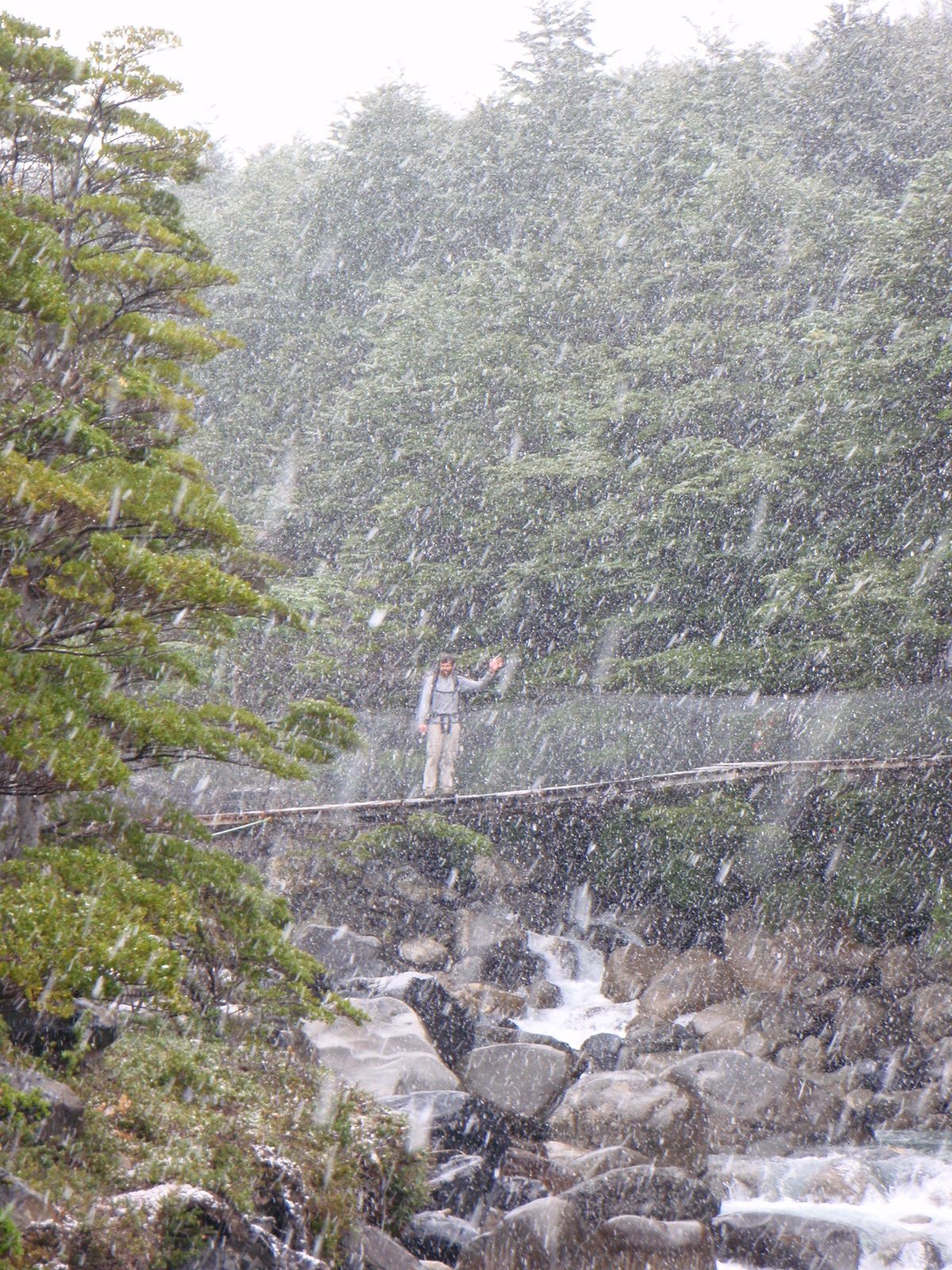 Jay on the suspension bridge.