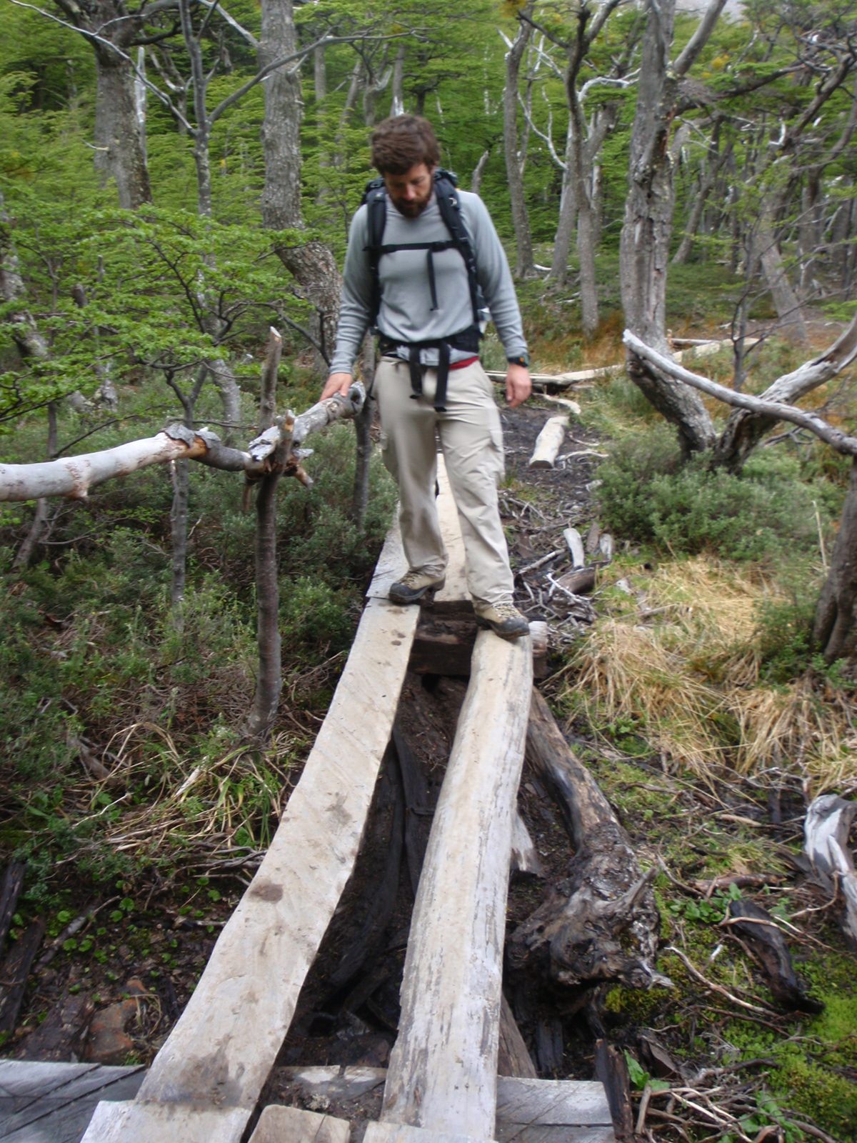 Bridges across Patagonia series for Catherine.