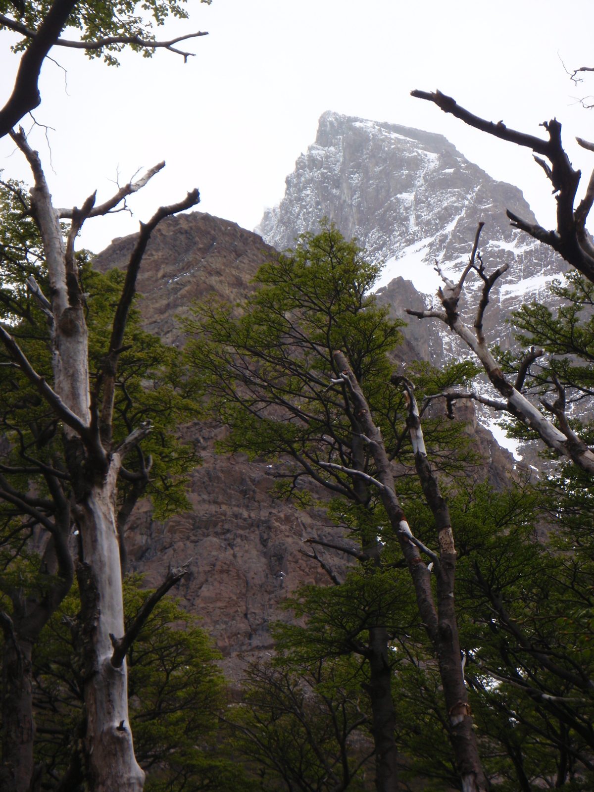 We had no idea this mountain was towering above us to the west until the fog cleared. On the...