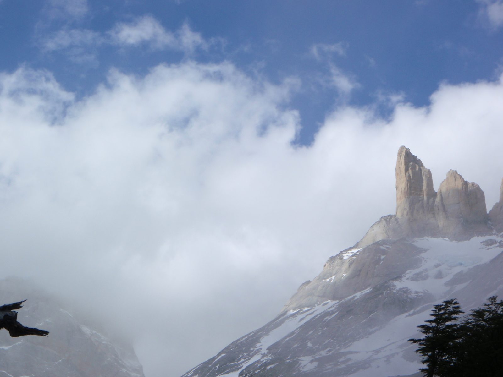 From a distance. Hard to appreciate the scale of these... easily thousands of feet above us.