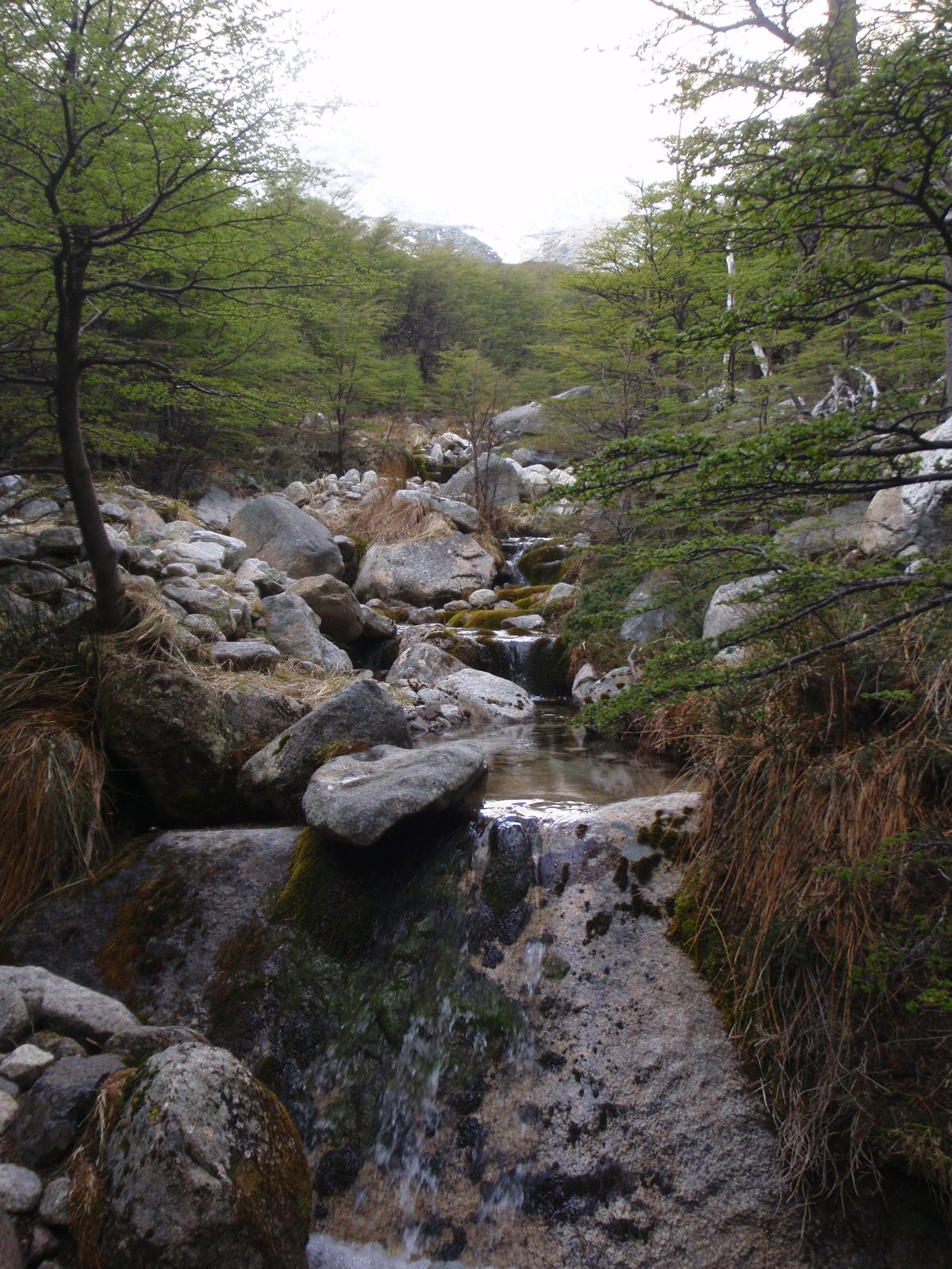 Very pretty stream.