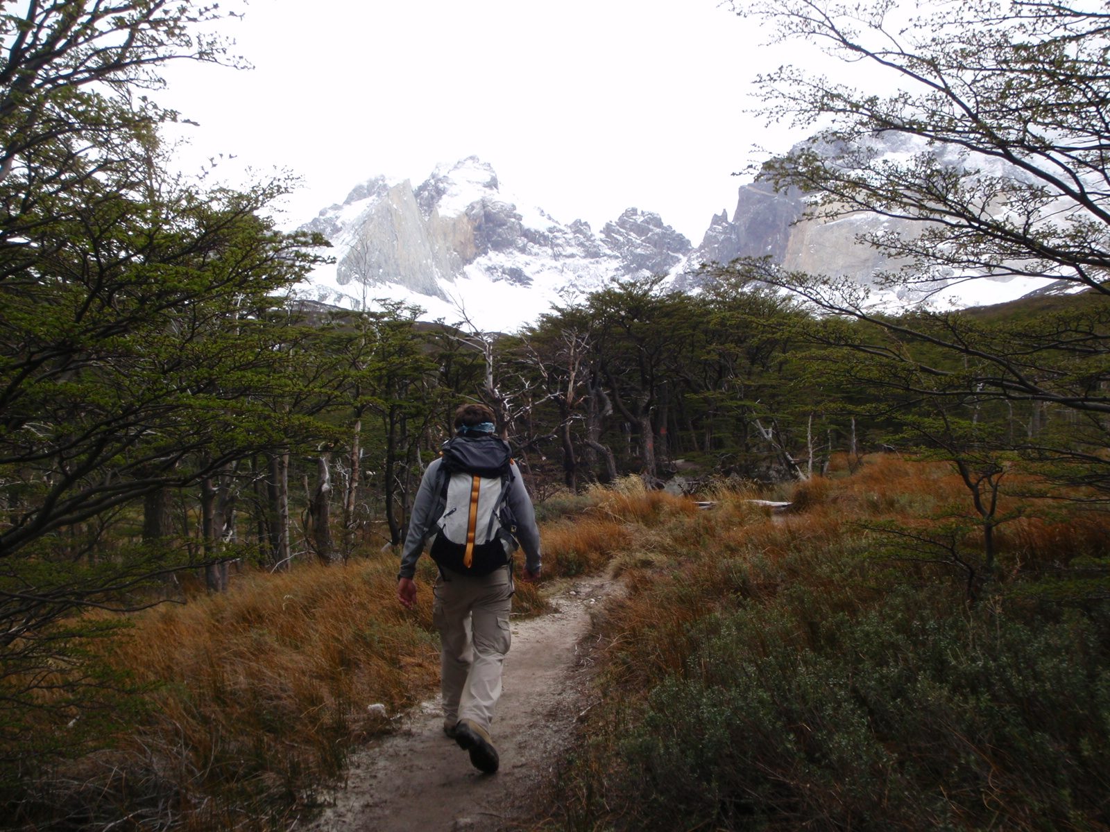 Jay hiking through a sub-alpine meadow.
