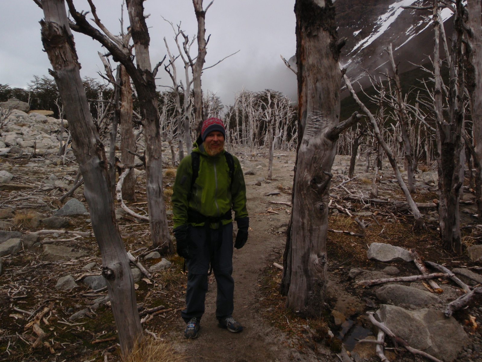 John in the haunted forest.