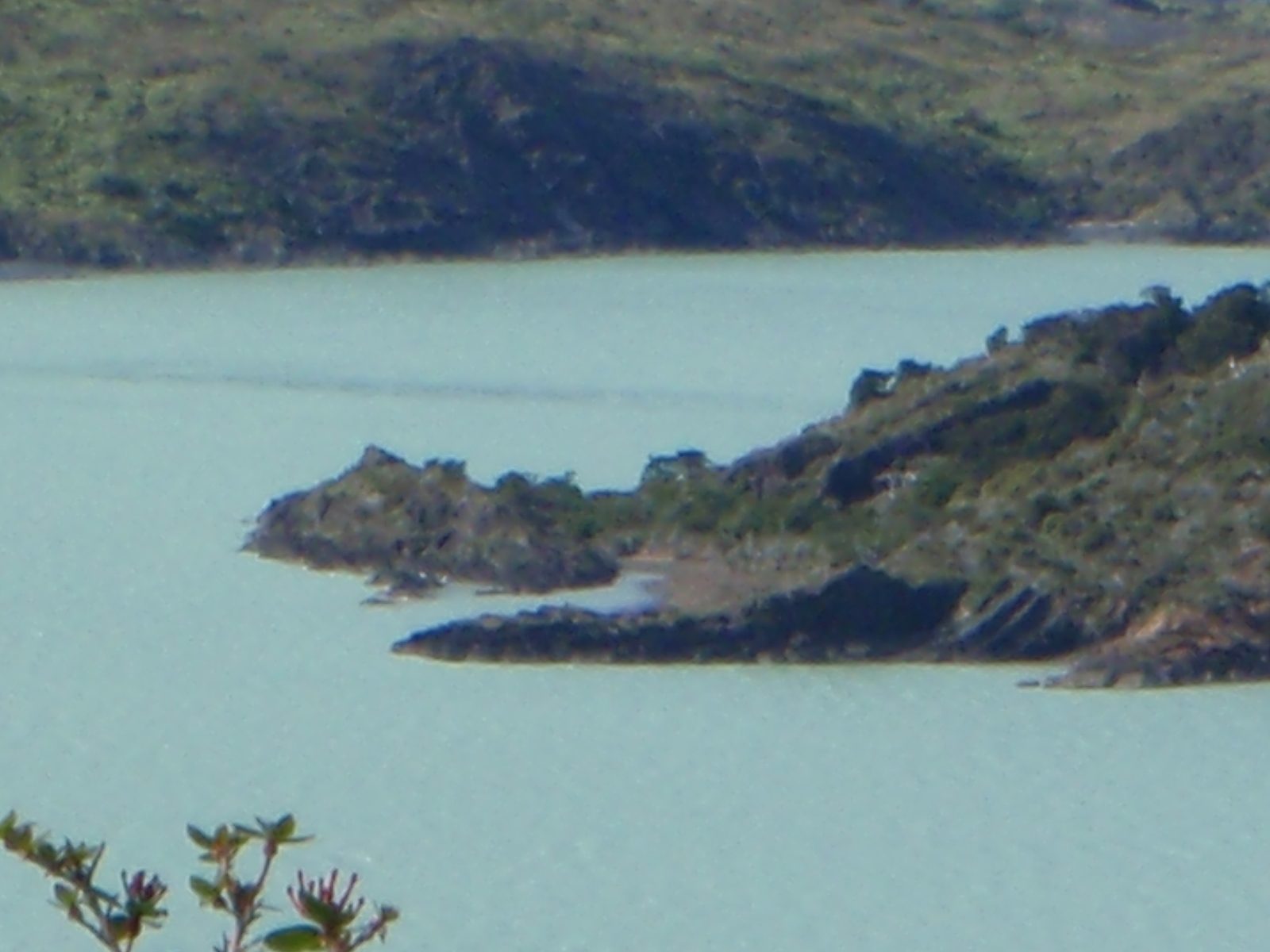 Close up of the weird pattern of wind buffeting on the lake surface. It is always windy in Patagonia!