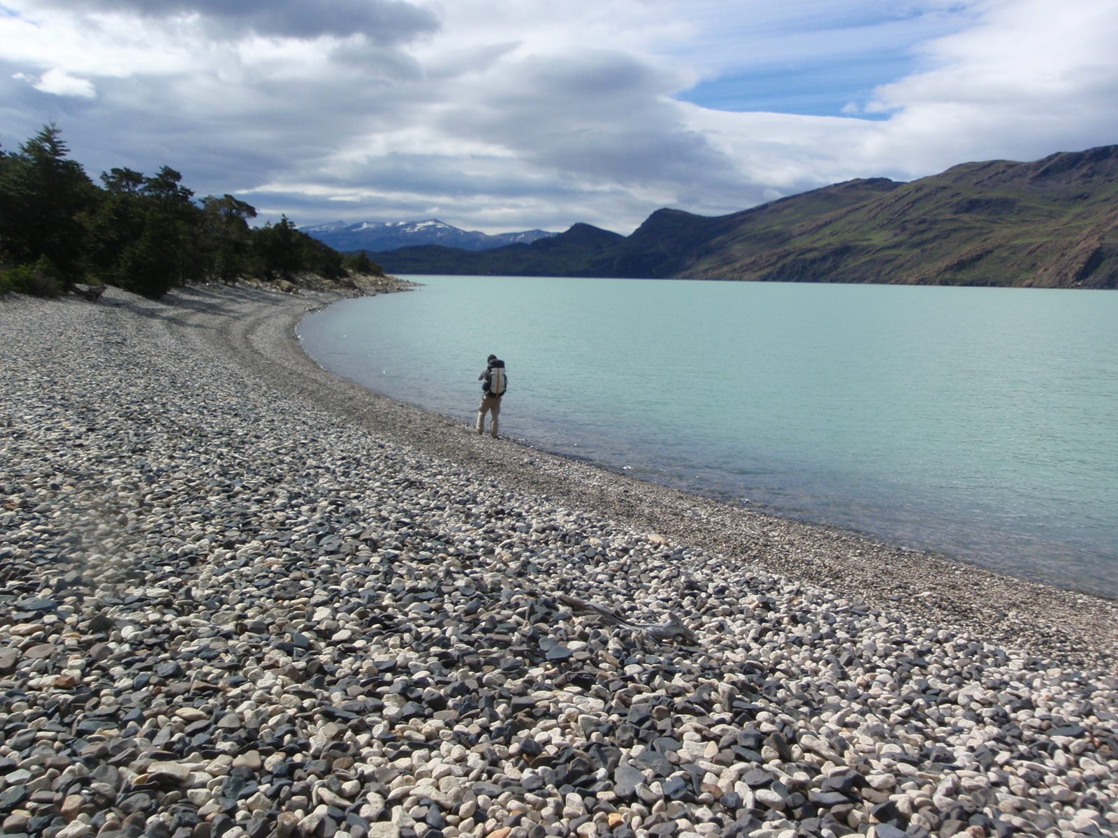 Jay on the shore of Lago Nordenskjold.