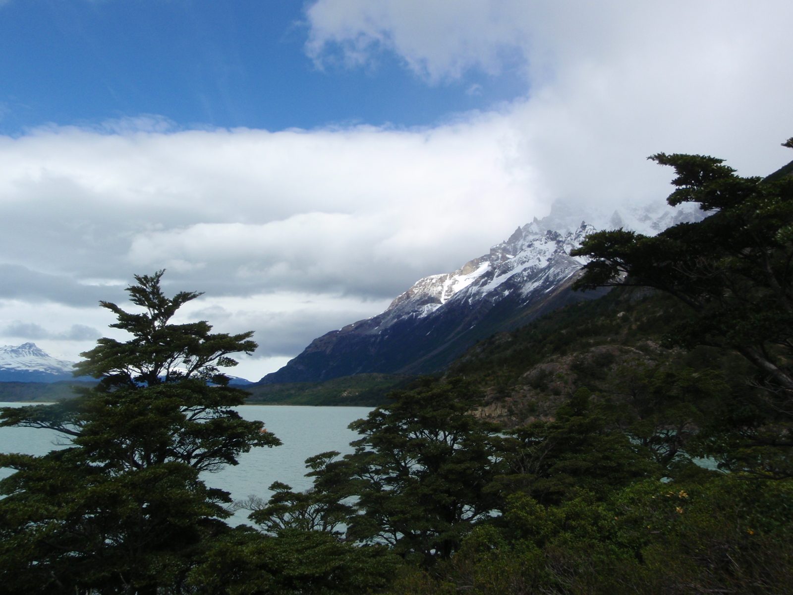 Beautiful contrast between the green forest and the snowy mountains and icy cold lake.