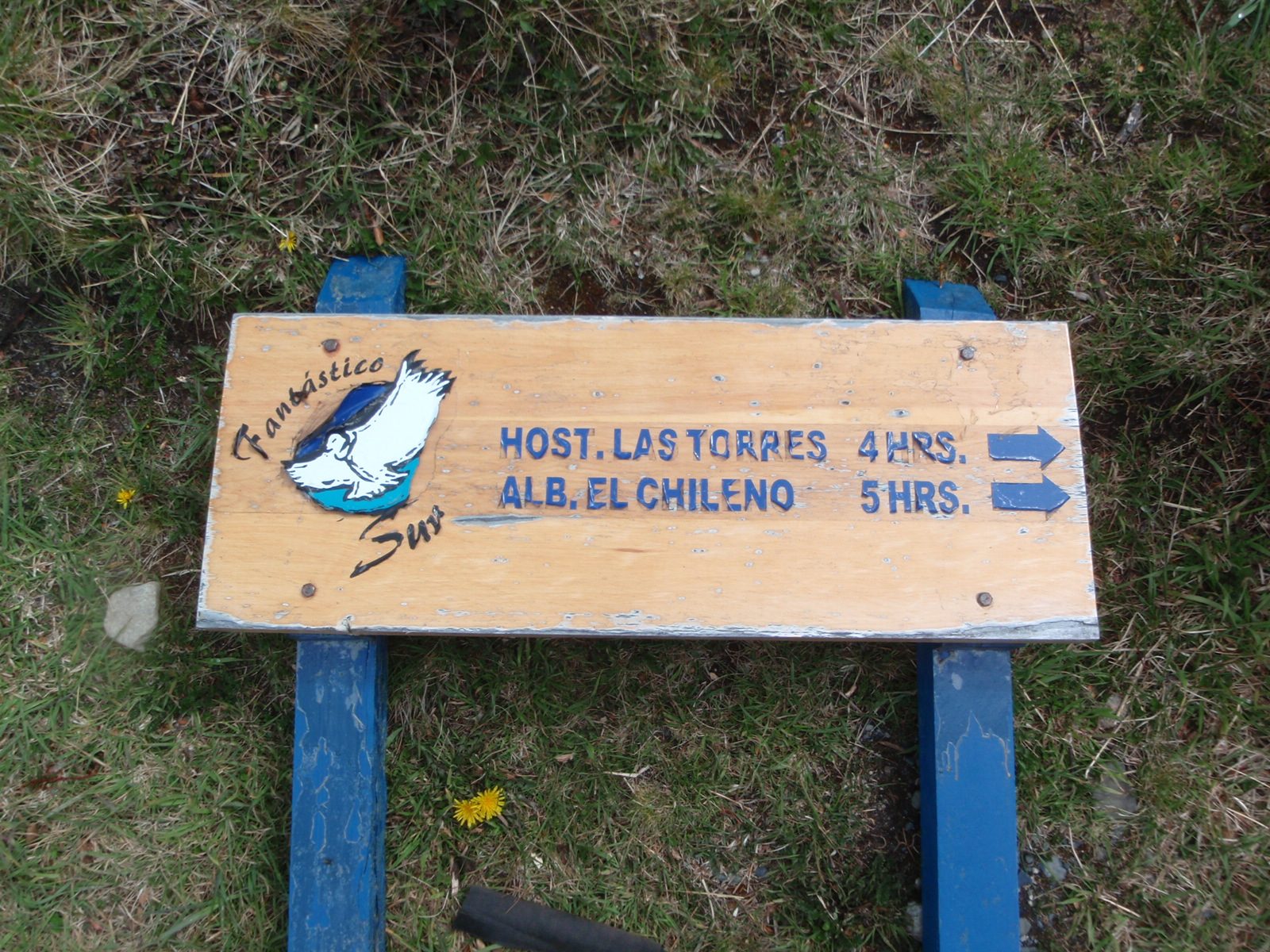 We found this sign on the ground. We weren't really sure whether it was in its correct location...