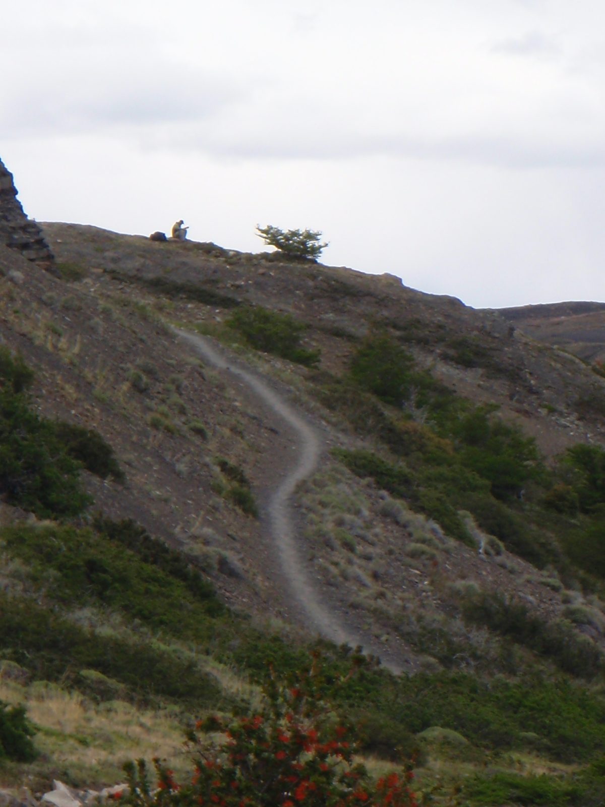A man sits at the end of a windy path, writing in his journal. Patagonia felt very much like the...