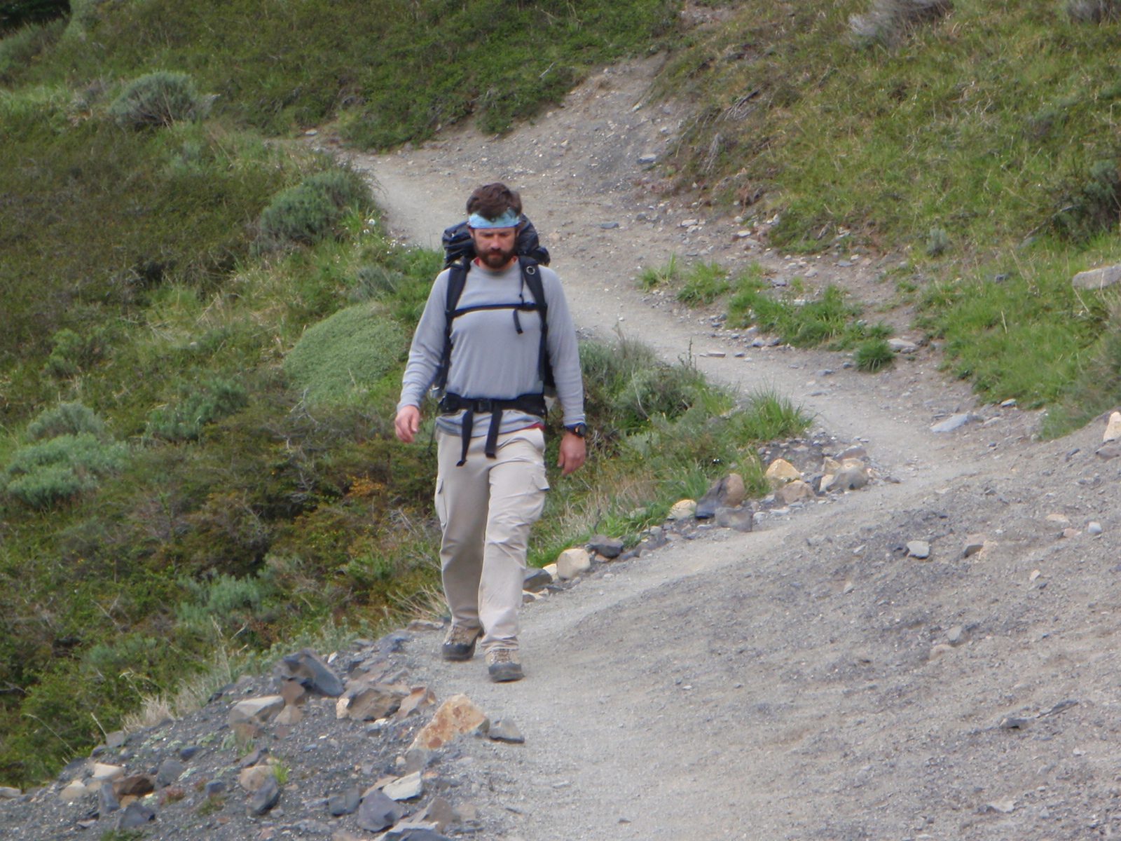 Jay walking along at a brisk pace.