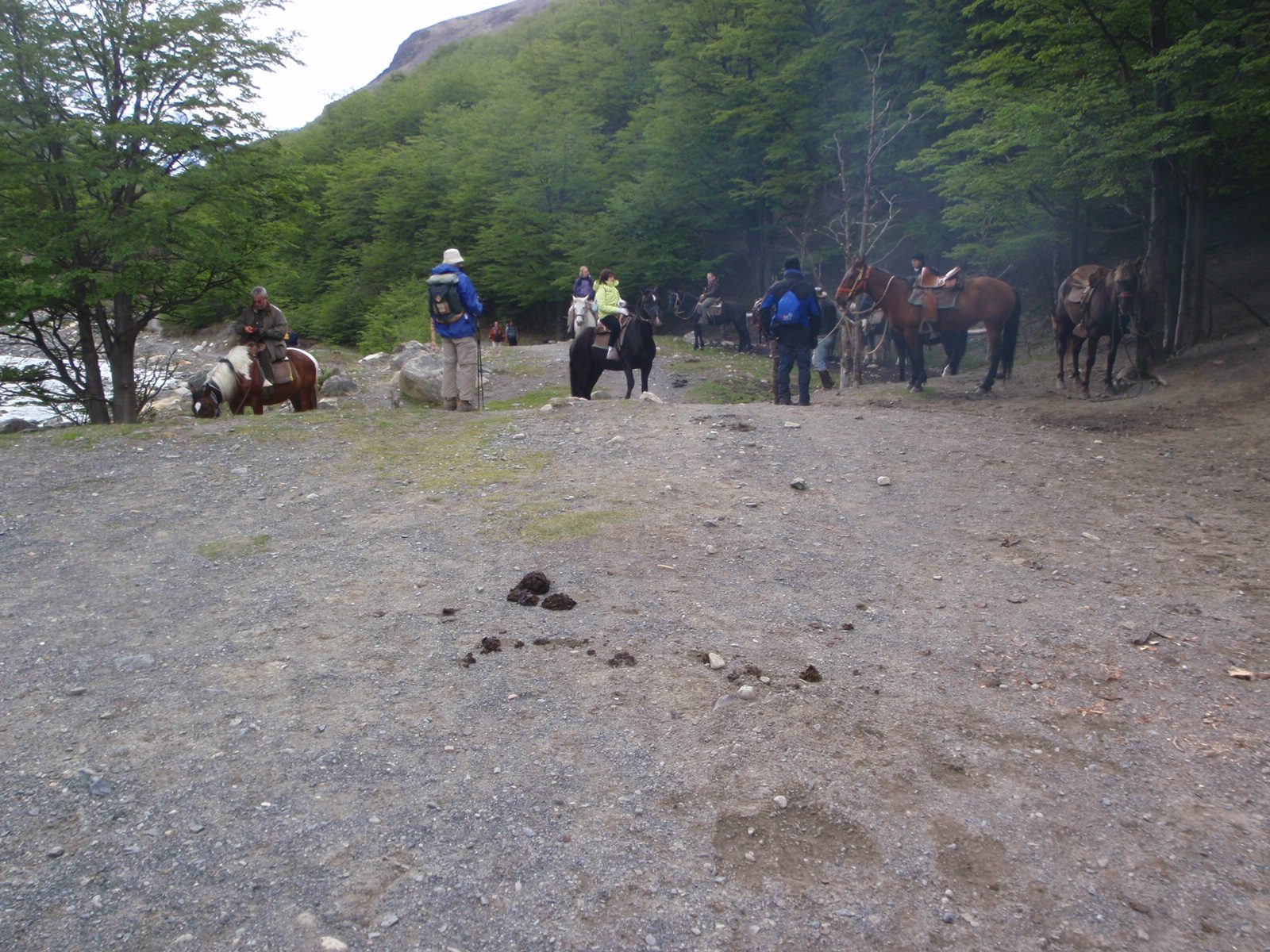 Tourists, horses, and horse poo. Glad we were under our own power. This place (Albergue Chileno)...