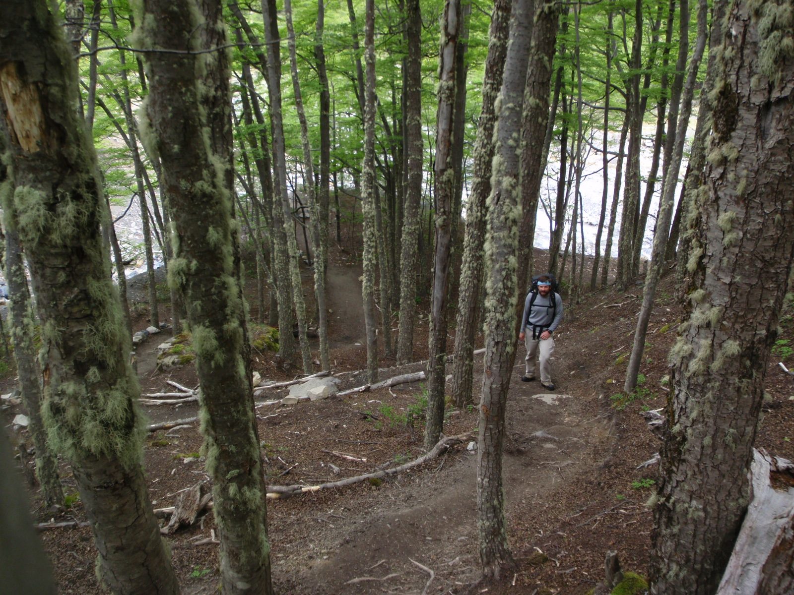 Pretty soon we were shrouded in thick stands of trees and the path would relentlessly upward. We...