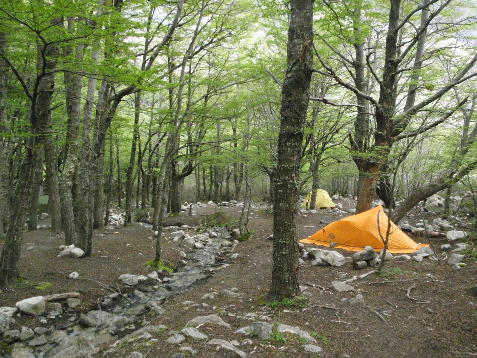 Back at camp: our tent is the yellow one in the background behind the orange one.