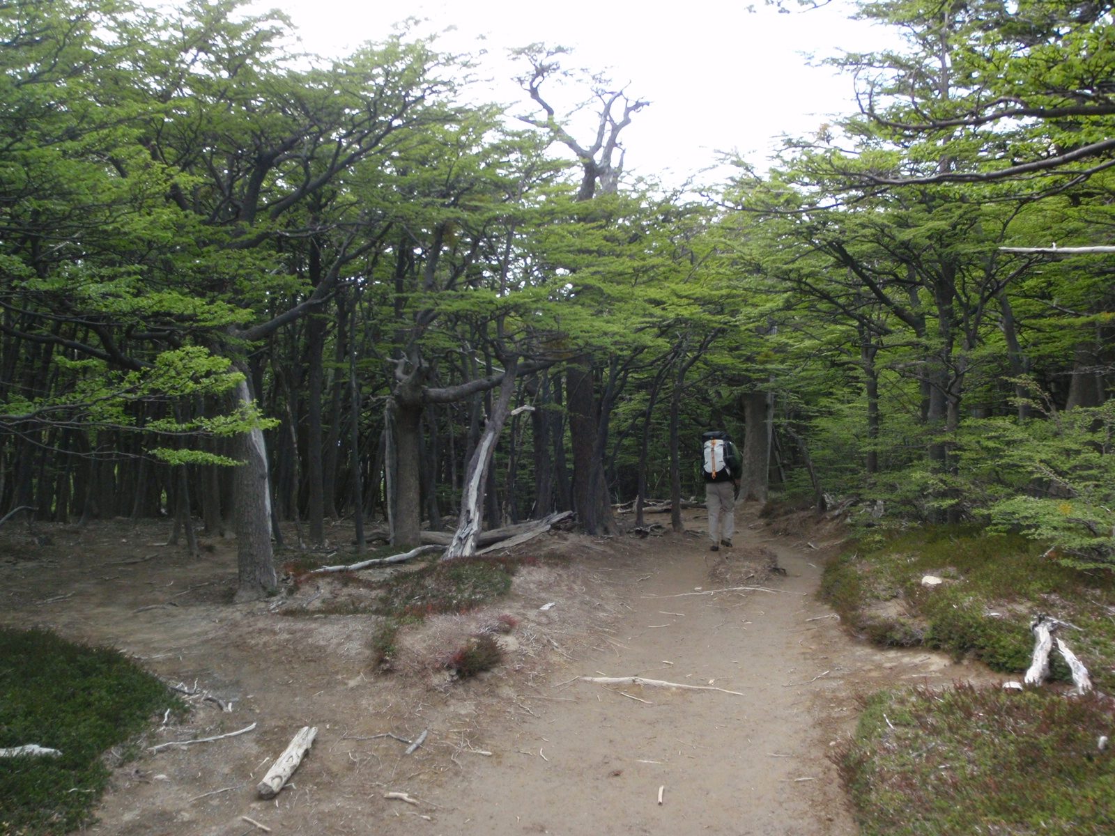 On our last morning in Torres del Paine, we woke up early enough to be sure to hike the 12+ km...