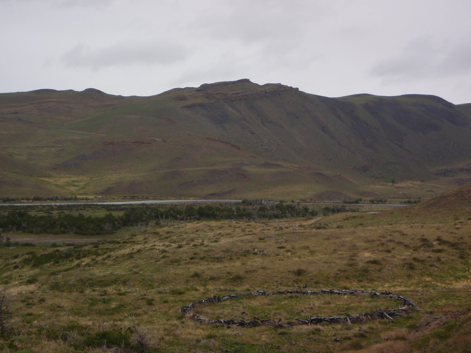 Apparently this entire national park was quite recently a huge sheep estancia. There are lots of...