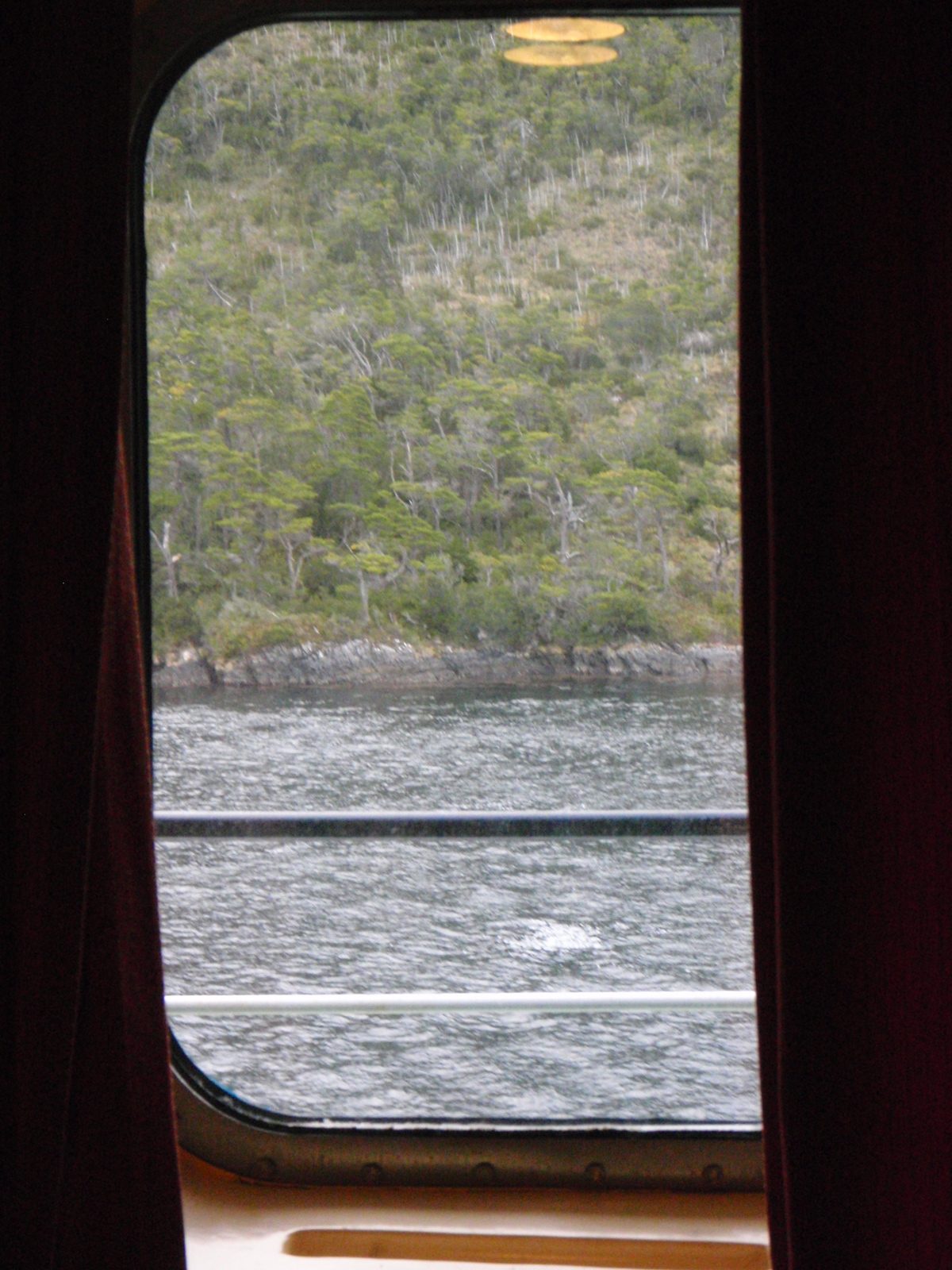 I went back to my cabin to have a short nap before breakfast was served. This is the view out my...