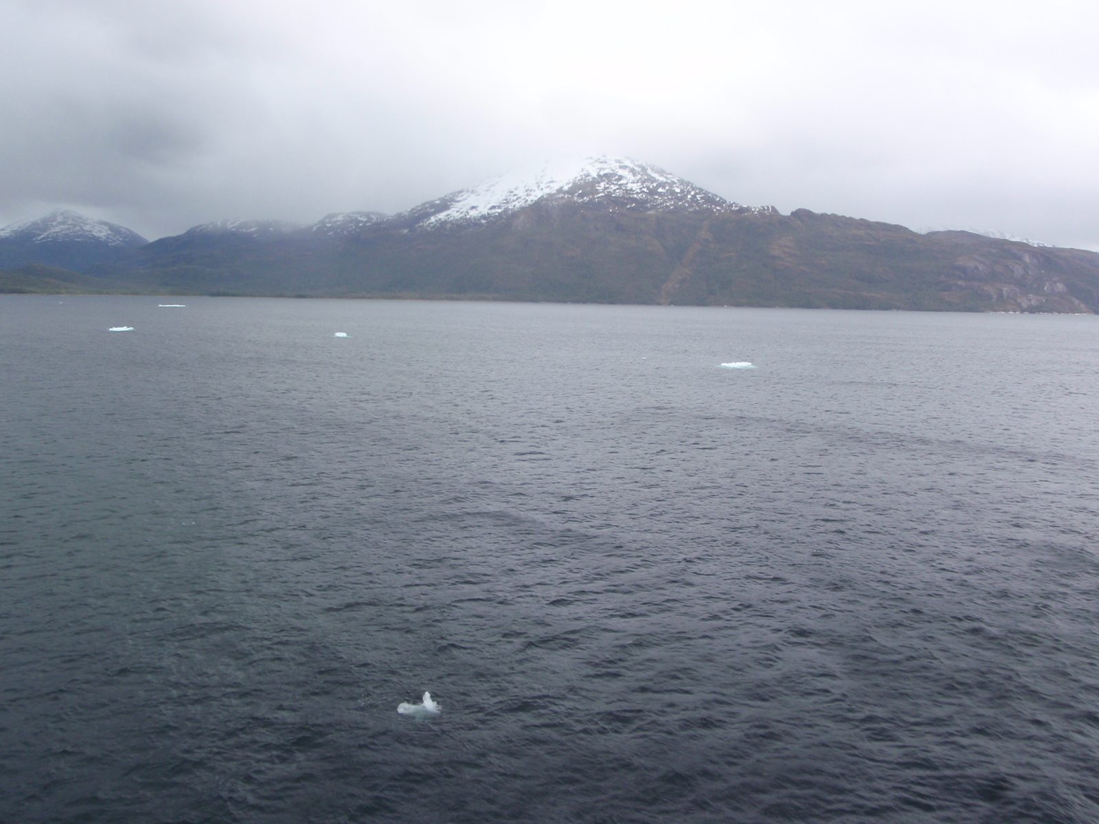Icebergs floating by us.
