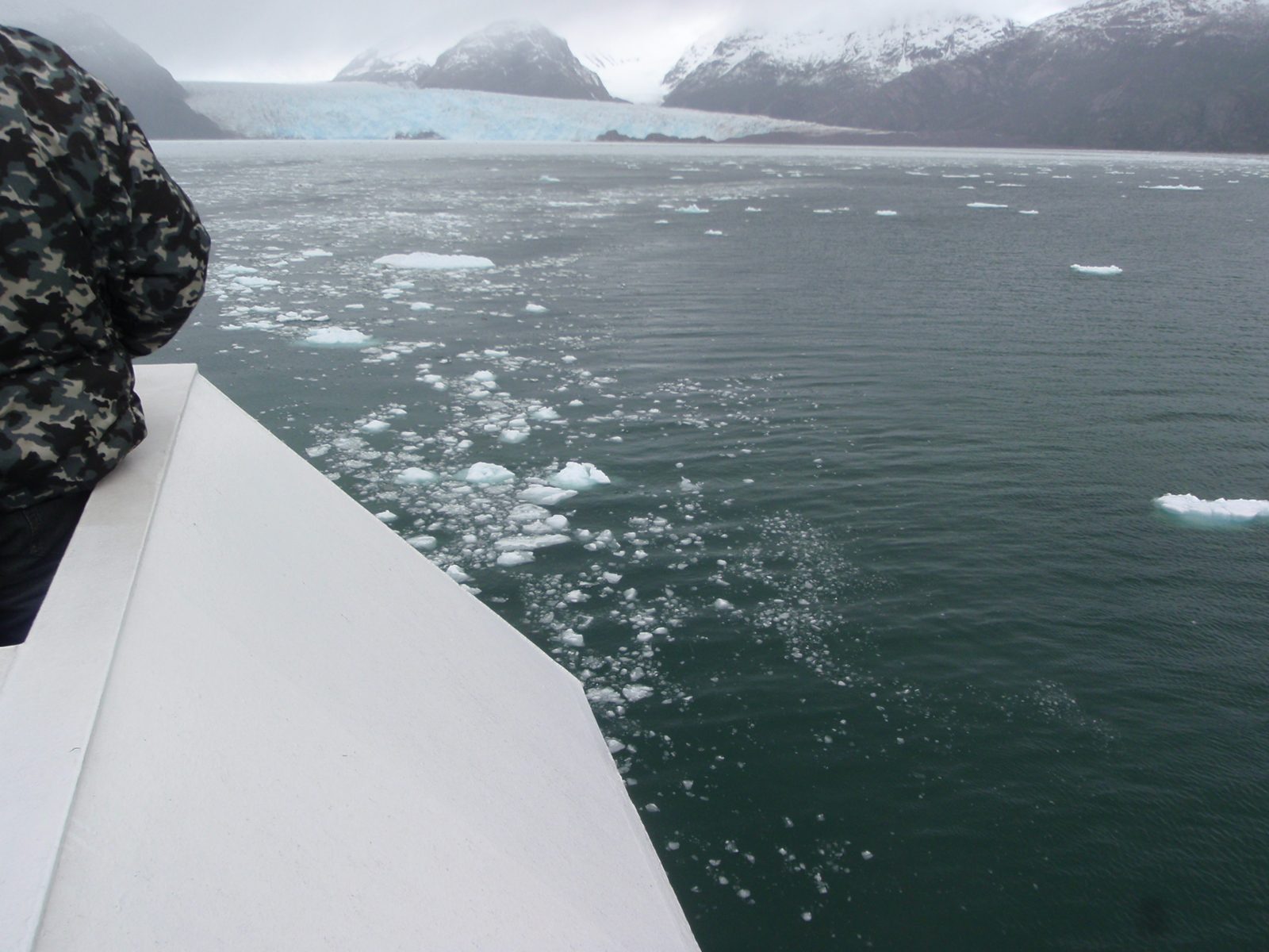 Then we just started sailing into the icebergs.