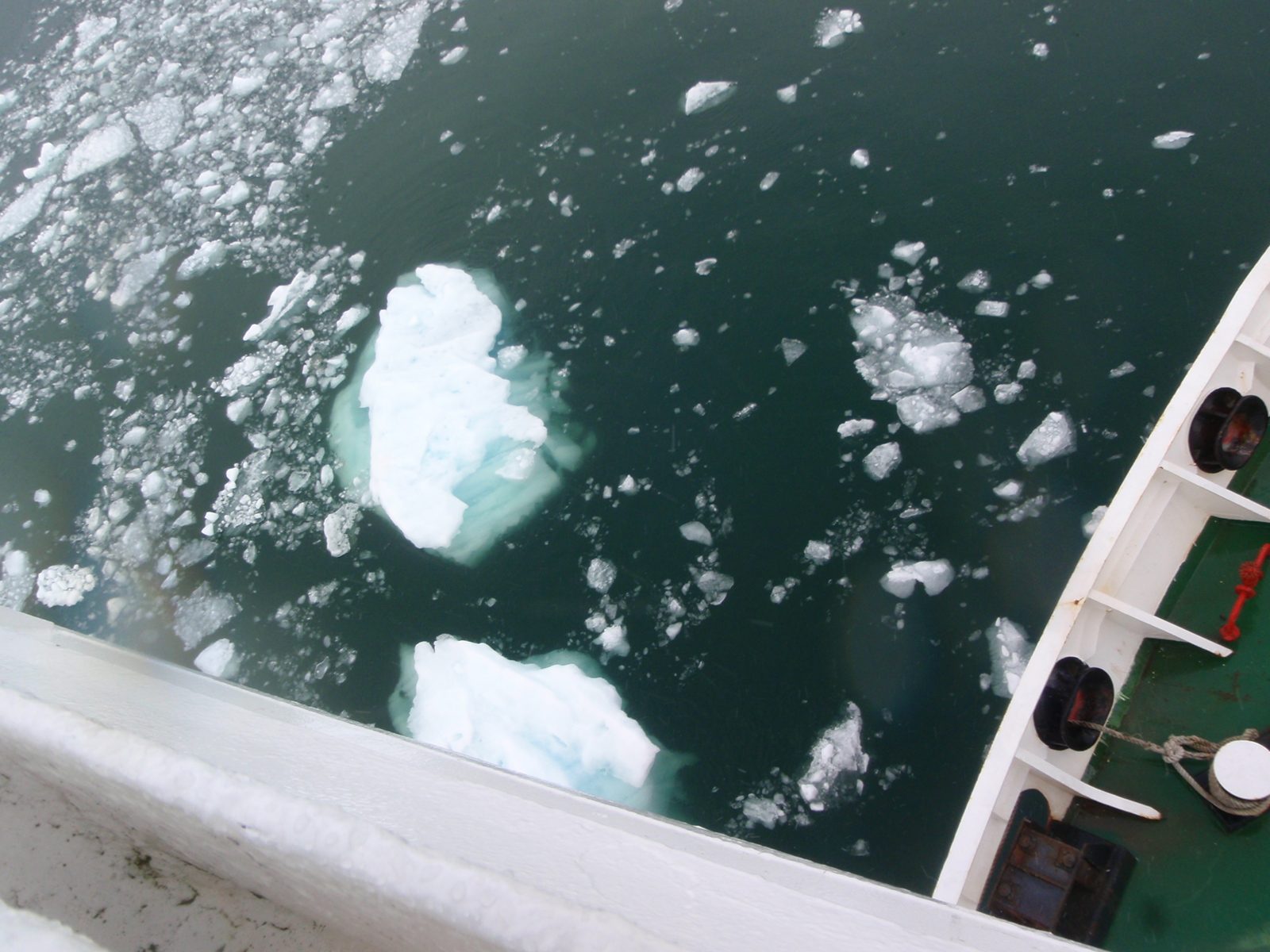 Neat how you can see the dark shadows of the bulk of these icebergs below the surface.