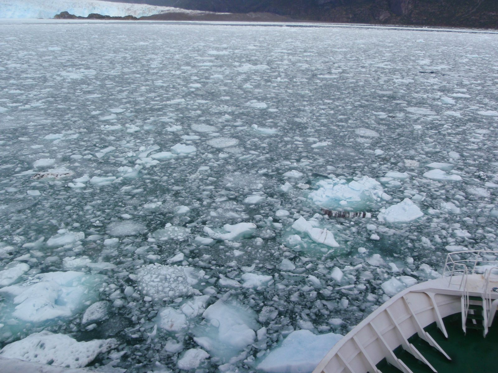 These icebergs had more-or-less frozen together. The sounds they made when being pushed apart...