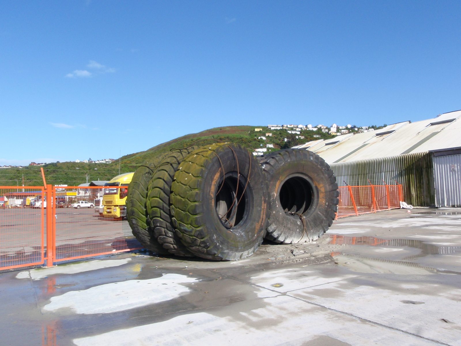 Neat looking tires with moss. I wonder what they go on...