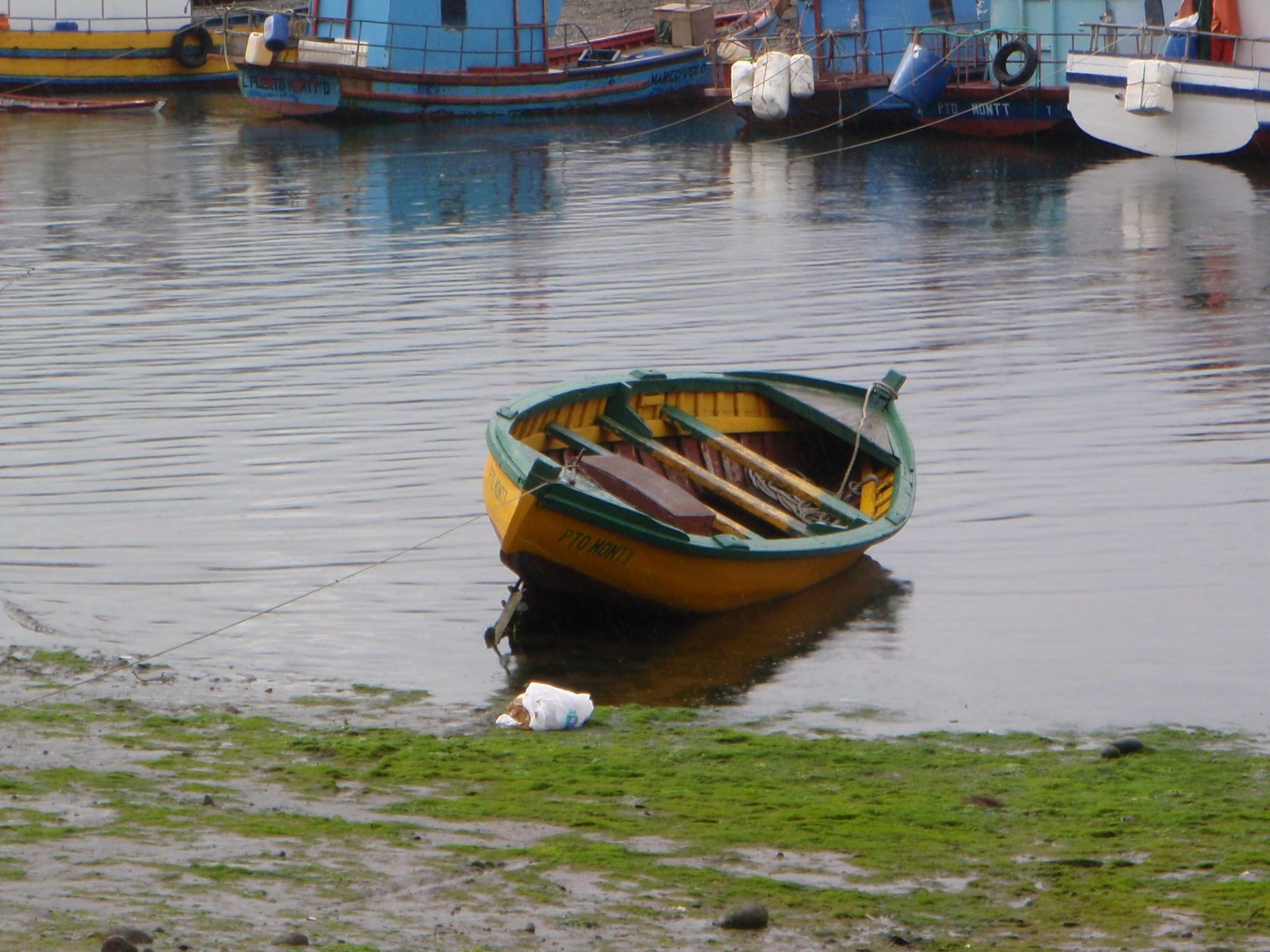 A fishing dingy resting in the low tide waters.