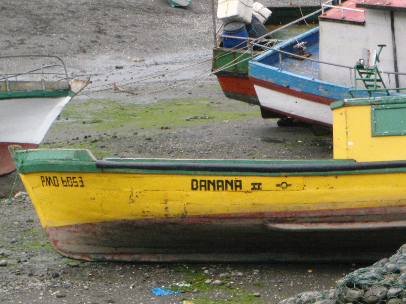 Banana Numero Dos.