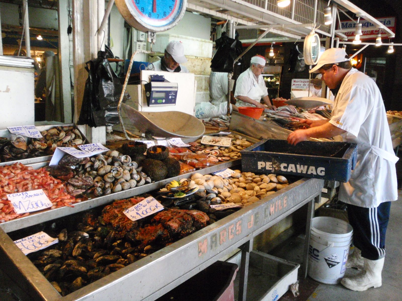 Various seafood for sale at the Santiago Fish Market.