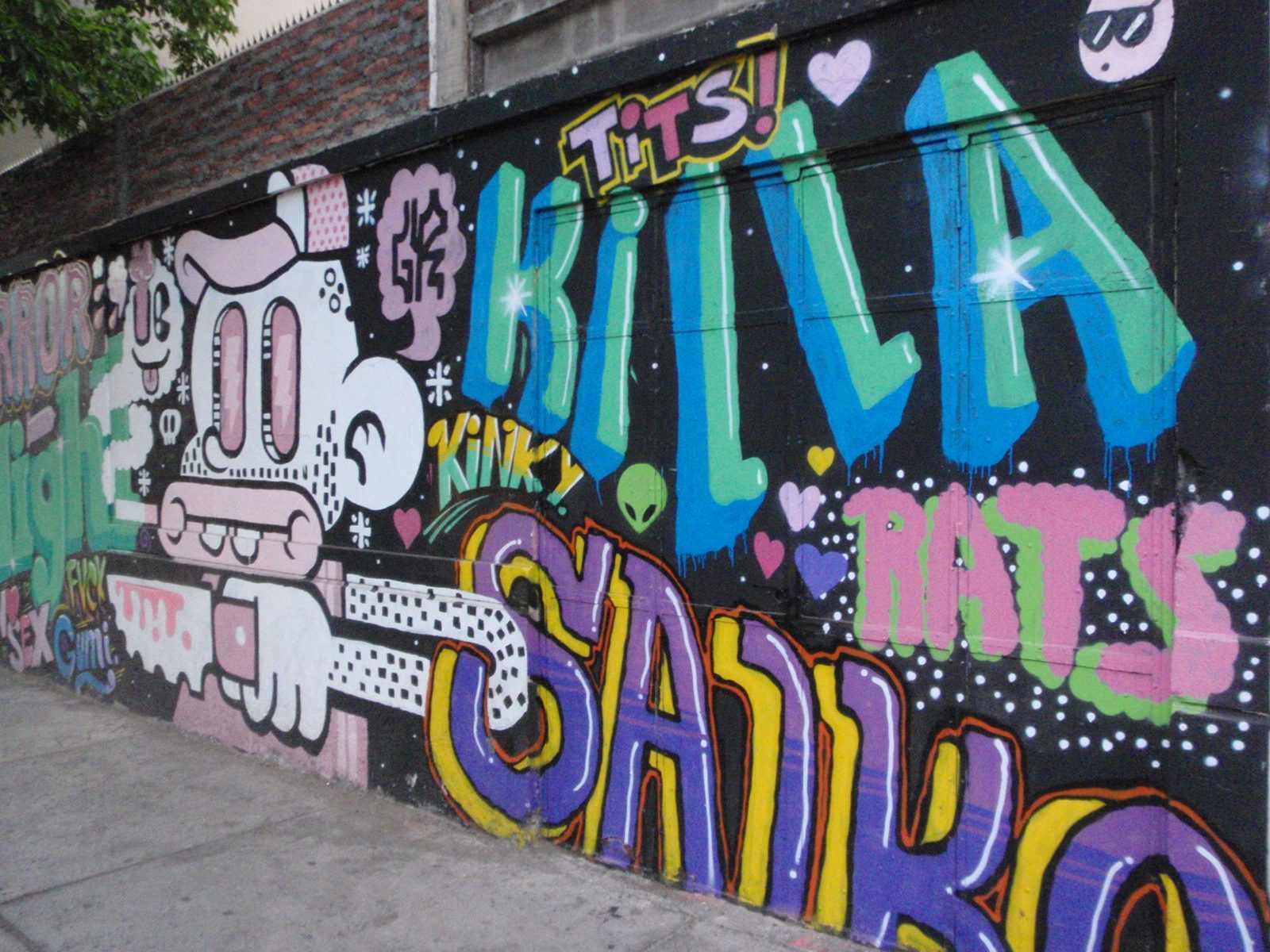 Santiago graffiti in the Bellavista neighborhood.