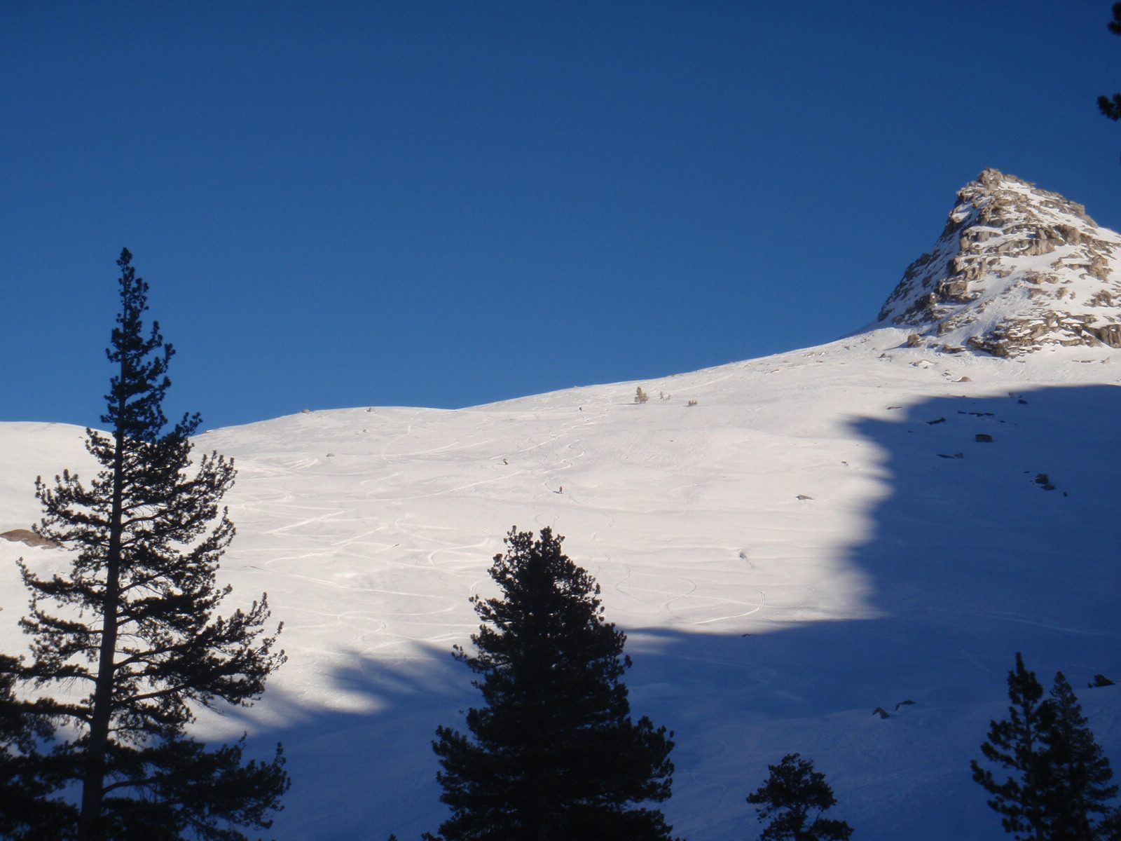 Sequoia's "Matterhorn" and a few of our friends skiing / riding down at left: Steve, Owen and Tori.