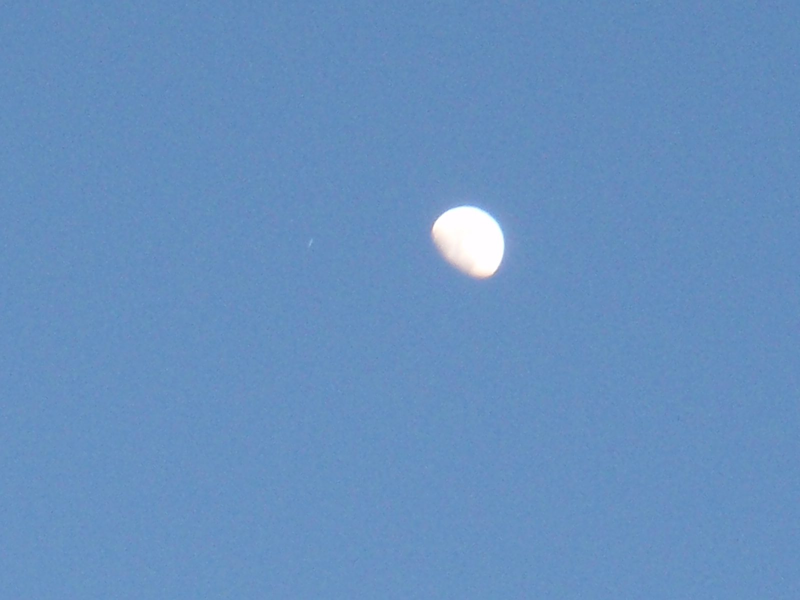 Best shot I could get of Jupiter, just to the left of the moon.