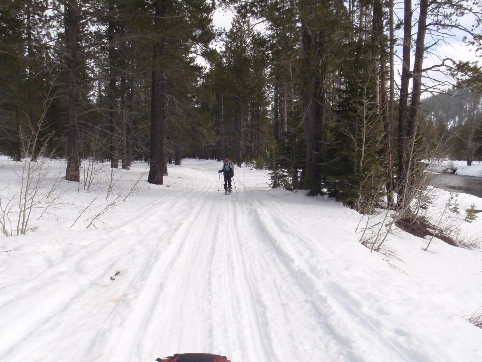 Monica, skiing in to the Lost Trail Lodge Saturday morning.
