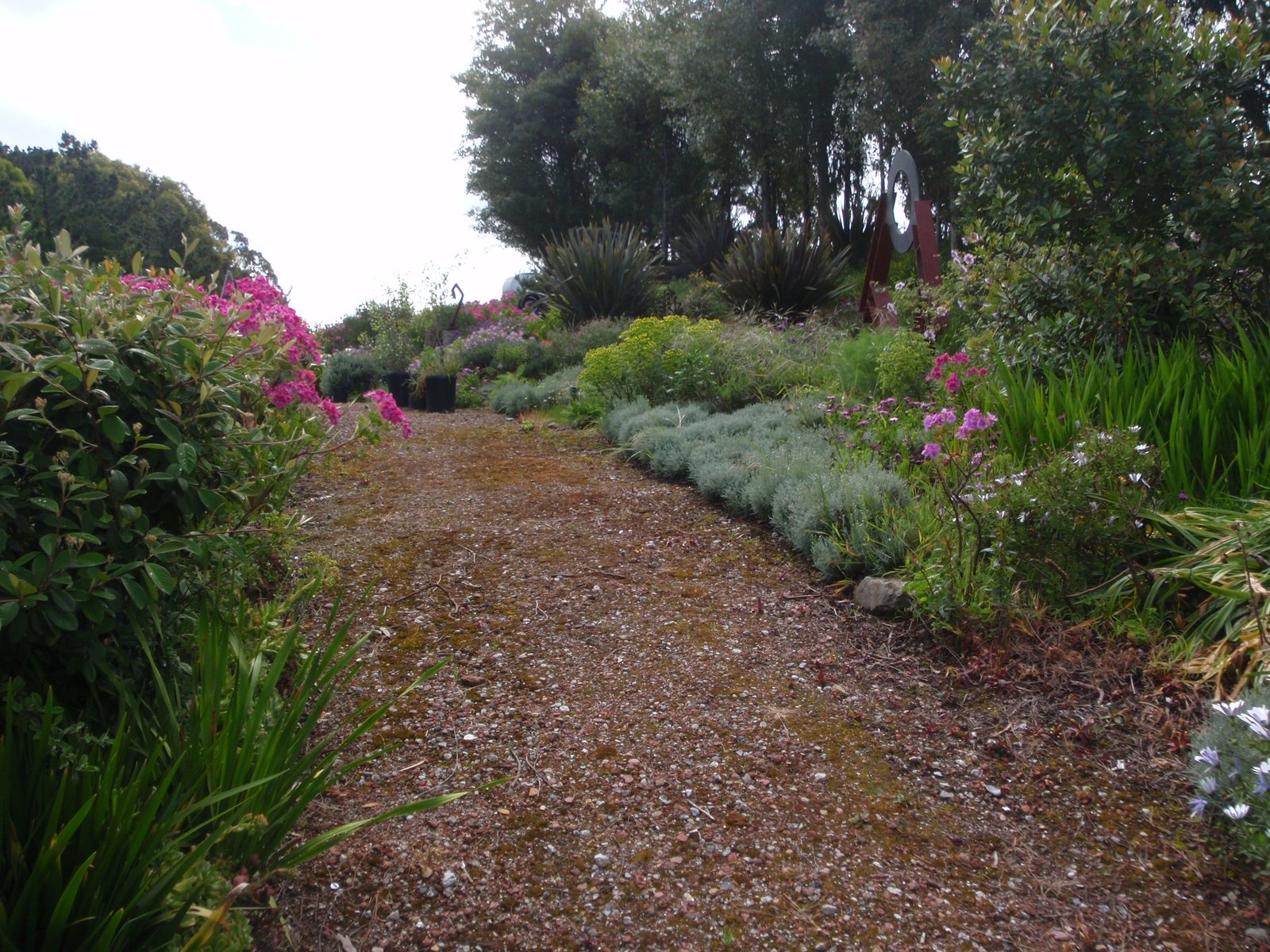 A garden grown entirely from plants that were thrown away, rescued and brought back to life. ...