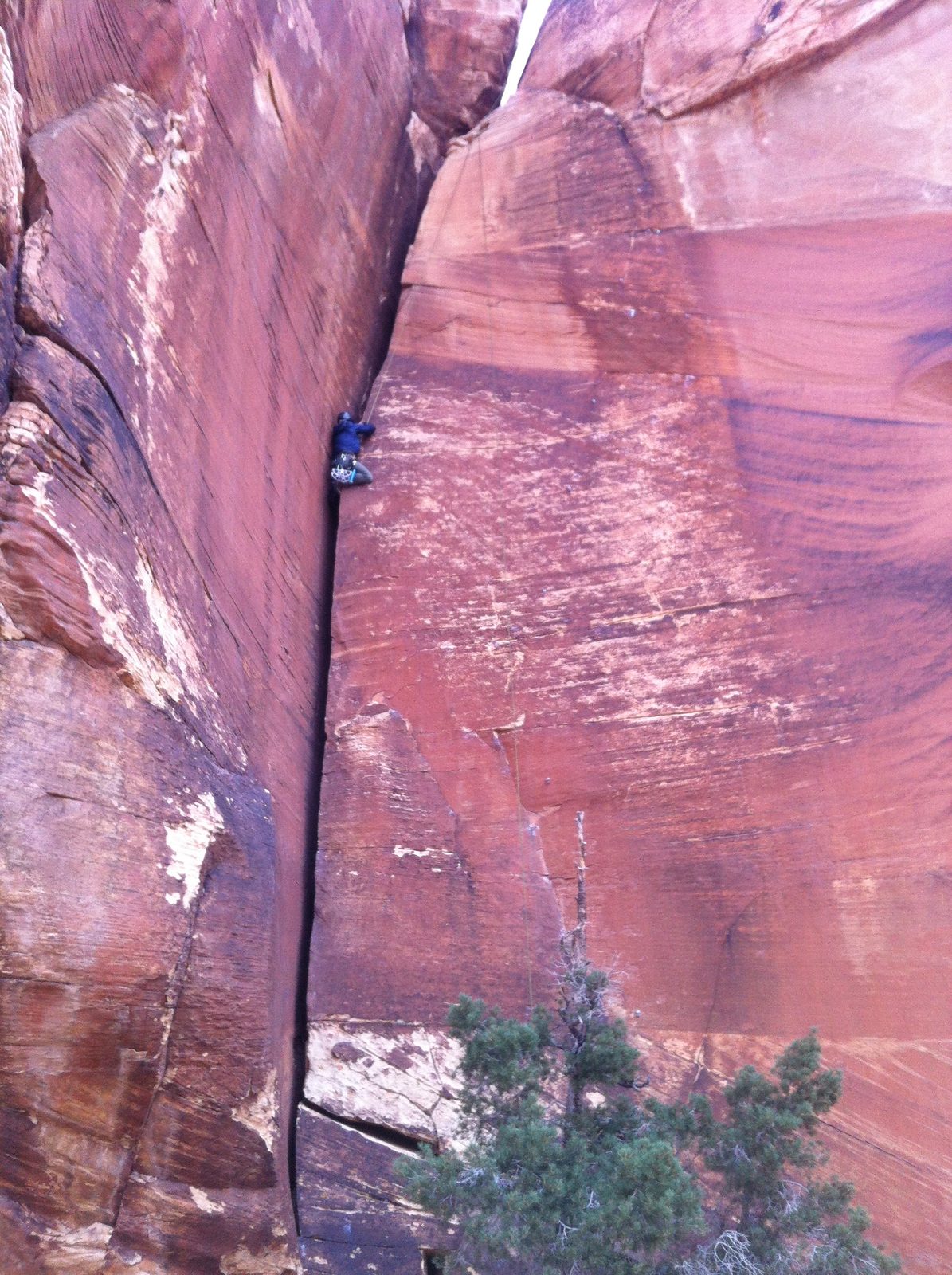 Alex, top-roping Chrysler Crack (5.9) at Red Rock Canyon (aka Red Rocks).