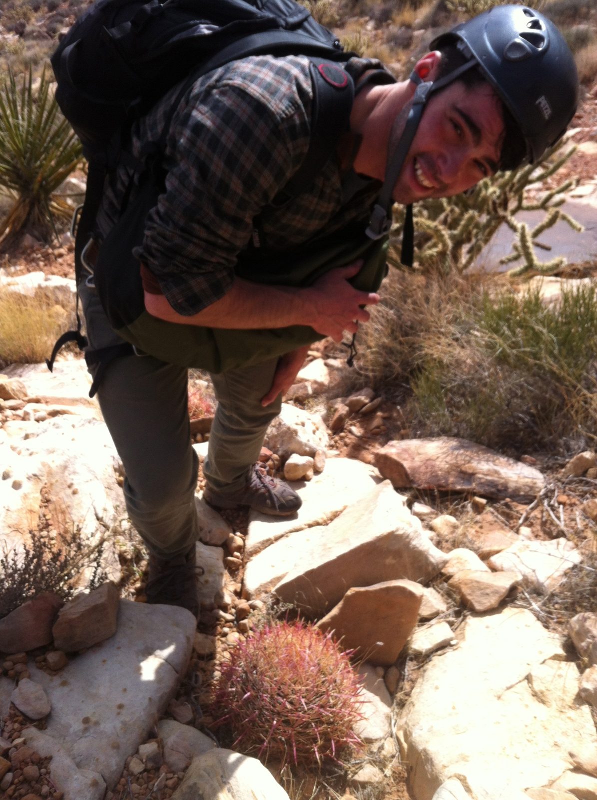 Alex and a really unusual pink barrel cactus.