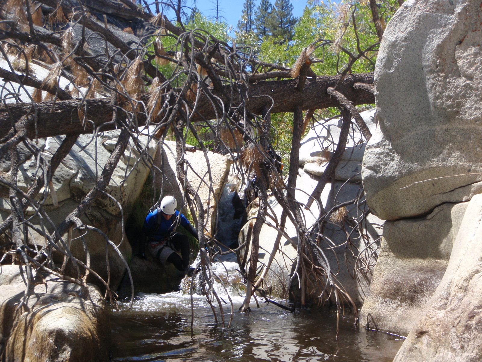Catherine negotiates a tight slot followed by a downed tree across the watercourse.
