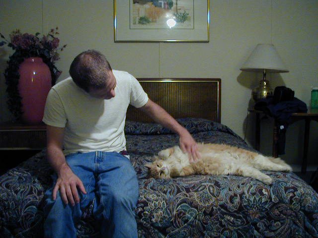 At our hotel in Panamint Springs, we made friends with a cat who was more than happy to come...