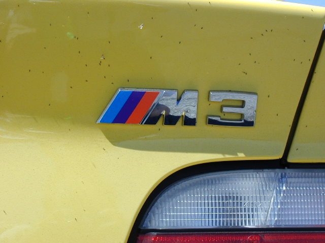 Little buggies in Death Valley like yellow things it would seem.  The car was swarming with them...