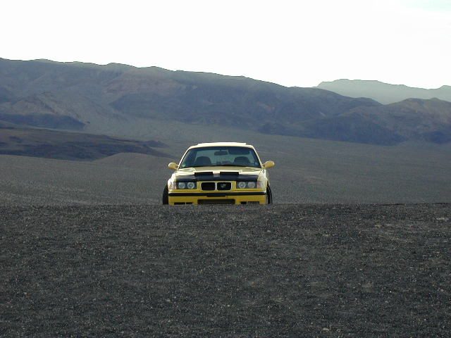 The noble steed.  Near the volcanic Ubehebe crater at the north end of the park.