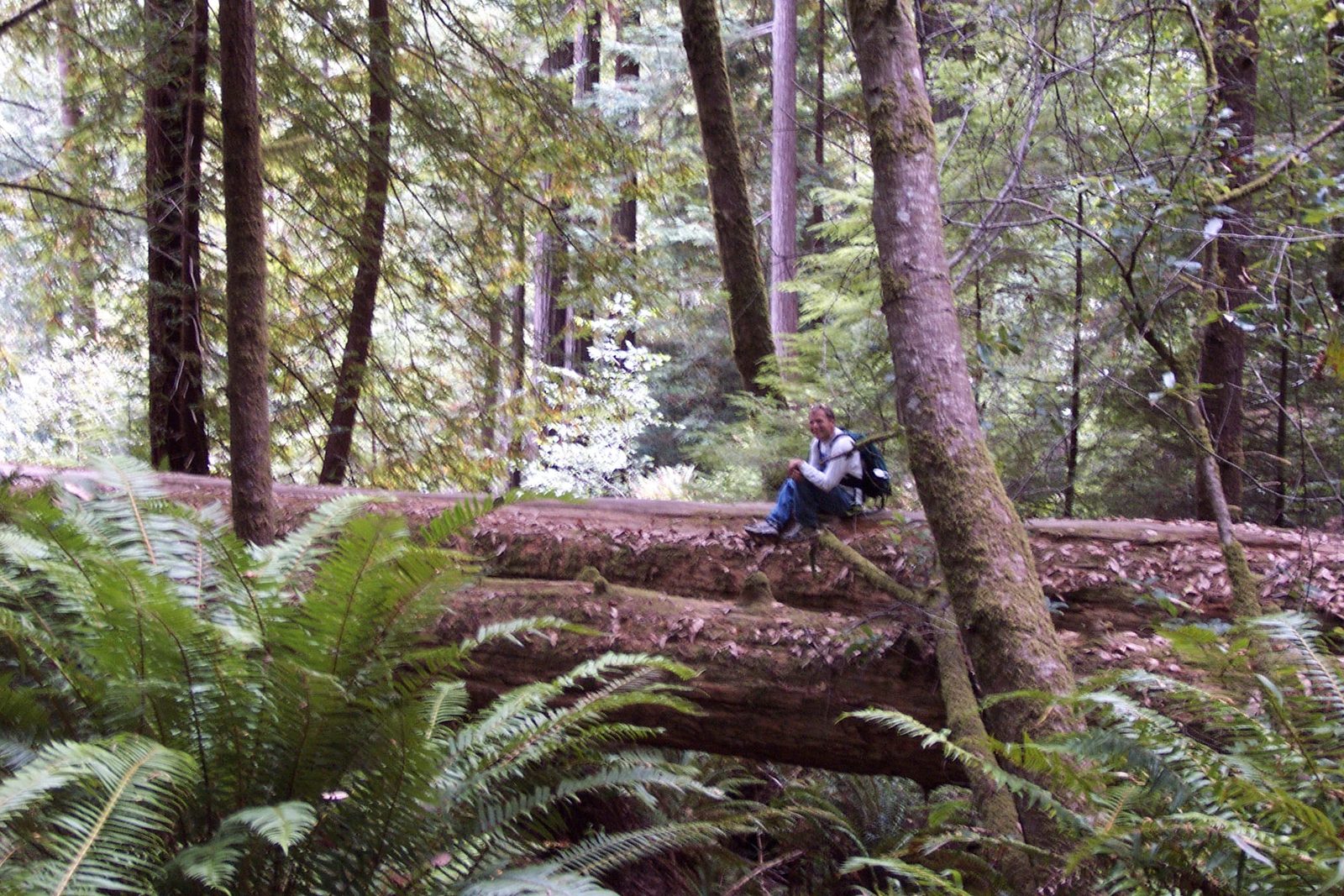 John taking a breather on a log.